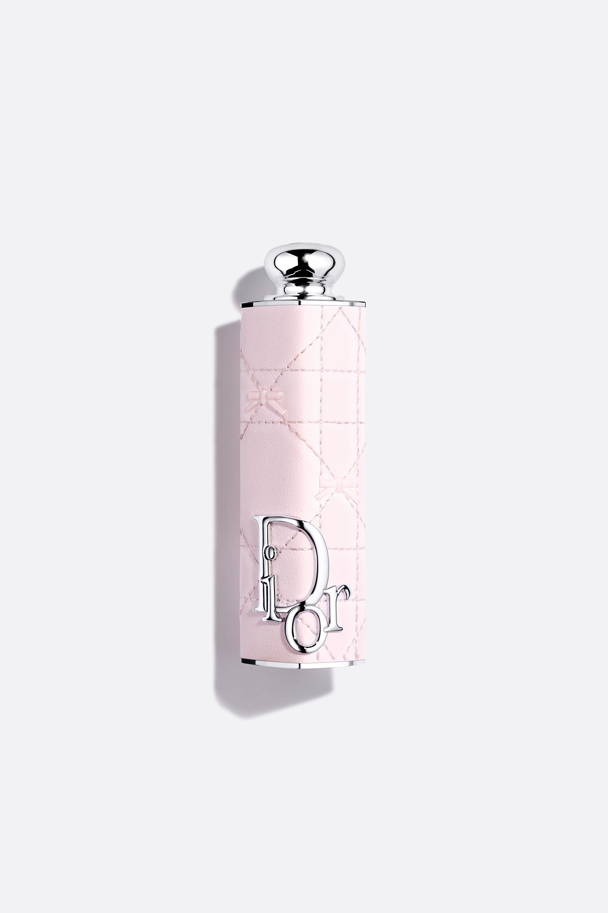 [pre-order] dior addict fashion case limited edition