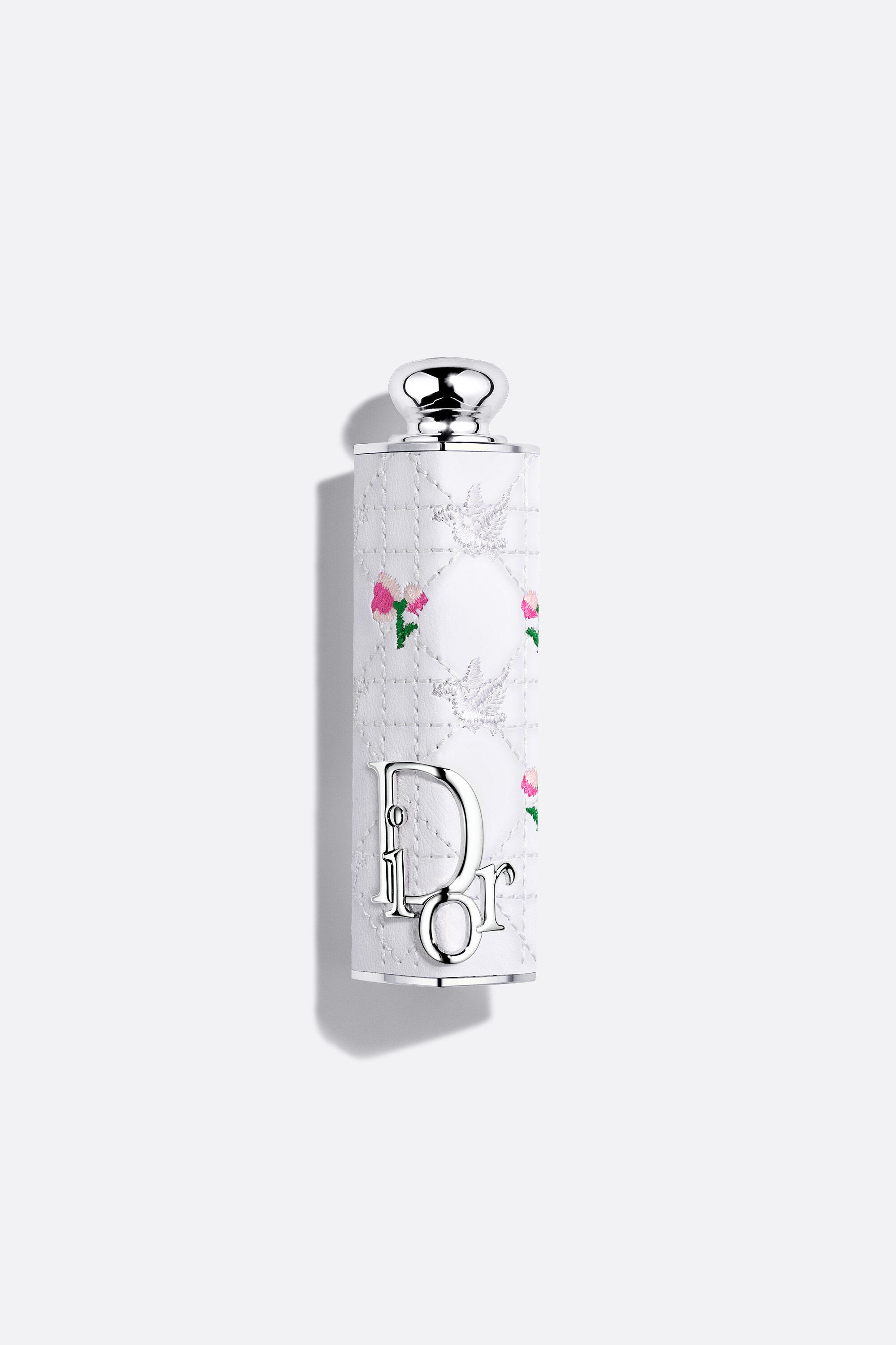 [pre-order] dior addict fashion case limited edition